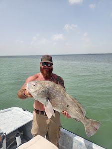 Black Drum Catch in San Padre Island Fishing Trip!