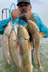 Redfish Revelry in Port Mansfield!