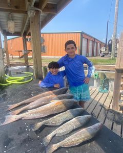 Two chub mackerel fish caught while fishing in Port Mansfield