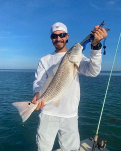 Freshwater drum fish caught in Port Mansfield