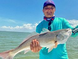 One angler with a large fish in Port Mansfield