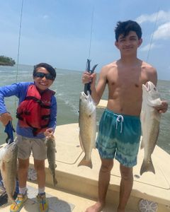 4 Redfish caught during fishing trip in Port Mansfield