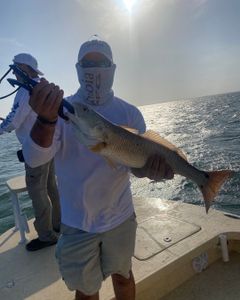 Redfish caught in TX