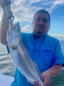 Spotted Weakfish fish caught while fishing in Port Mansfield