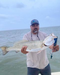 Spotted weakfish caught while fishing in Port Mansfield