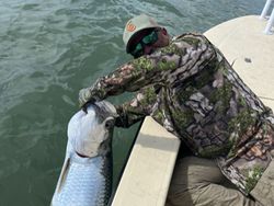 Tarpon fishing in Port Mansfield