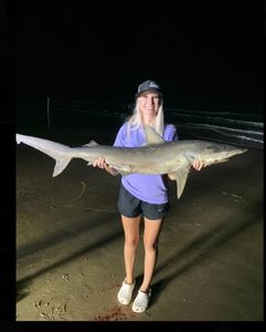 Action Packed Night Shark Fishing Trip, TX