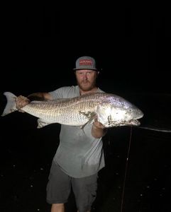 Bull Redfish Fishing in Texas