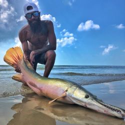 alligator gar in Texas