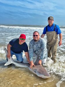 Good Weekend of Shark Fishing, Texas