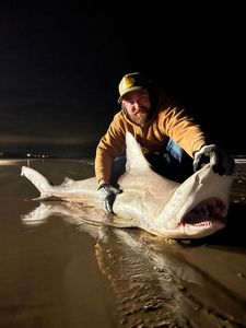 Angler catches big fish on Bolivar Peninsula