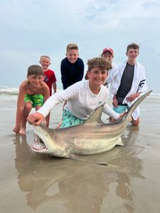 Sharks Await! Galveston's Ultimate Test