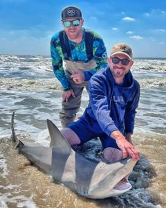 Caught a 28-inch sand tiger shark while fishing in TX