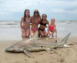 Blacktip Shark caught while fishing on Bolivar Peninsula