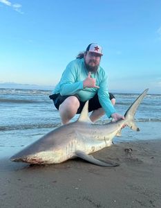 Blacktip shark caught fishing on Bolivar Peninsula TX beach