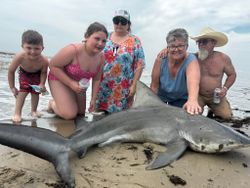 Large blacktip shark caught on Bolivar Peninsula TX beach with fishing group posing for photo