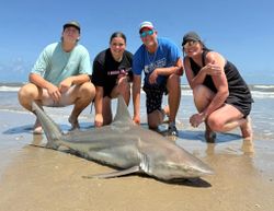 Blacktip shark caught by 4 people on Bolivar Peninsula