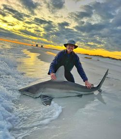 Blacktip Shark, 53 inches, fishing in TX
