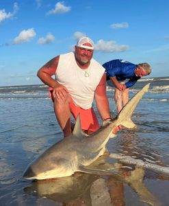 Blacktip shark, 33 inches, fishing in TX