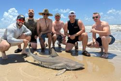 Blacktip shark caught on Bolivar Peninsula TX beach with fishing group
