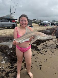 Blacktip shark catch on Bolivar Peninsula TX beach