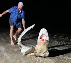 One fisherman catching the best catch on Bolivar Peninsula