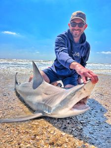 Bonnethead shark caught fishing in TX