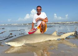Bull shark caught while fishing in TX