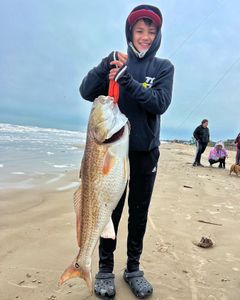 Redfish caught in TX