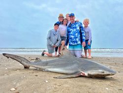 Sandbar shark caught on Bolivar Peninsula