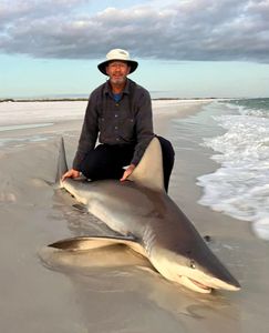 Sandbar shark caught on fishing trip at Bolivar Peninsula