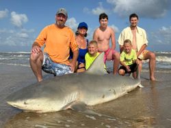 Bull shark caught while fishing in TX