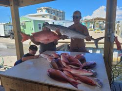 3 king mackerel fish caught while fishing in FL