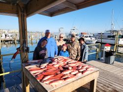 Sharing our pensacola fishing trip today