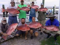 7 fishing catch in Pensacola