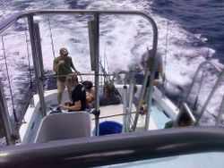 Angler fishing at Pensacola location