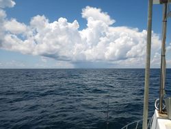 Fishing trip in Florida