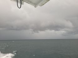 Fishing adventure in Florida