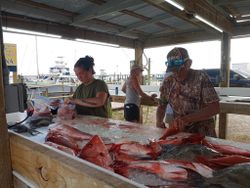 4 people fishing in FL