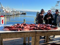 Two people fishing in Pensacola