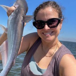Photo of a blue catfish caught in TX