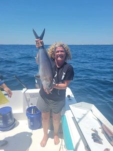 Greater Amberjack Fishing In Destin, FL