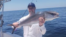 Catch of the day: A mighty Greater Amberjack caught fishing in FL.