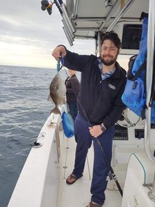 A grey triggerfish caught while fishing in Florida