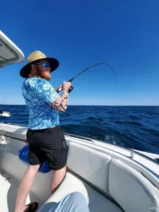 Gear Up and Fish On! Fishing in Crab Island
