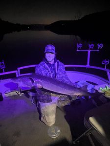 Angler fishing in Stillwater