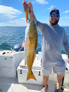 Catching big fish in sunny Pensacola waters