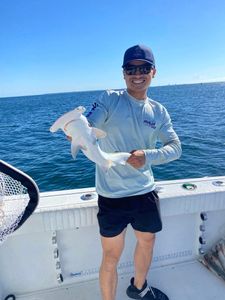 Reeling in the catch of the day in Pensacola
