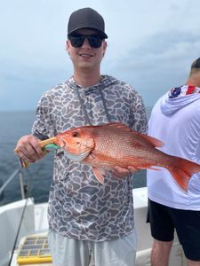 Angler with 1 fishing in FL