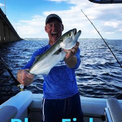 Bluefish caught in Pensacola